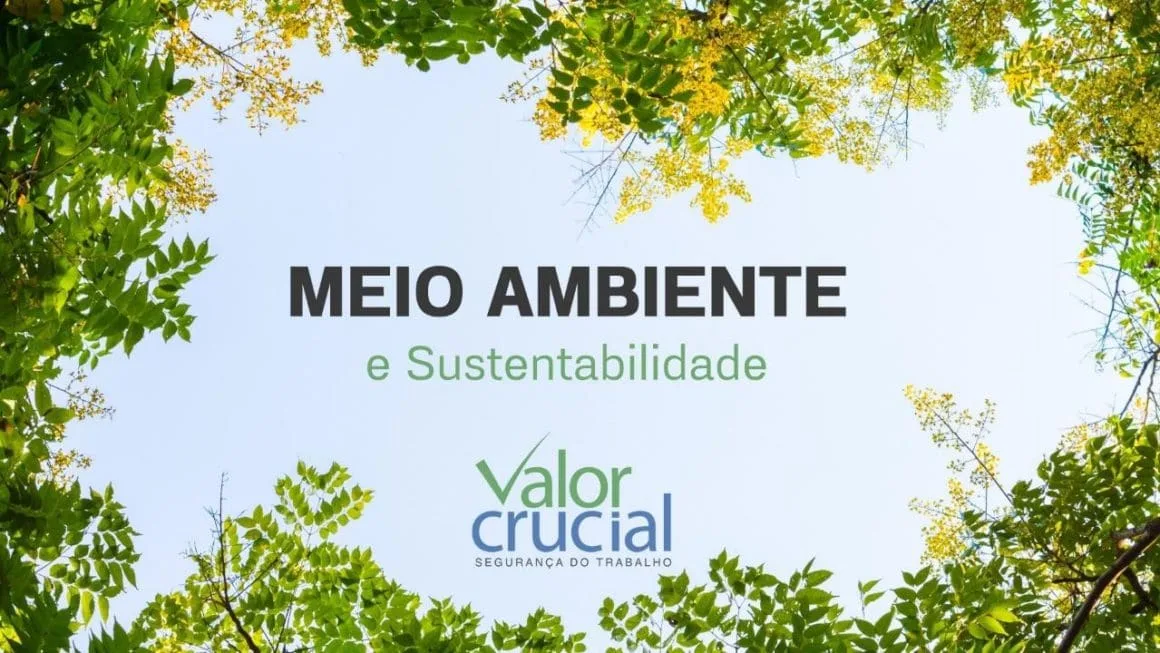 Meio Ambiente e Sustentabilidade