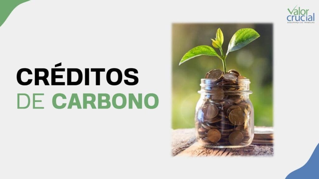 Crédito de Carbono + Políticas de Sustentabilidade Valor Crucial
